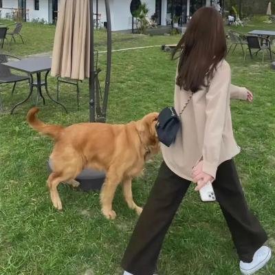 全球高武·动态漫